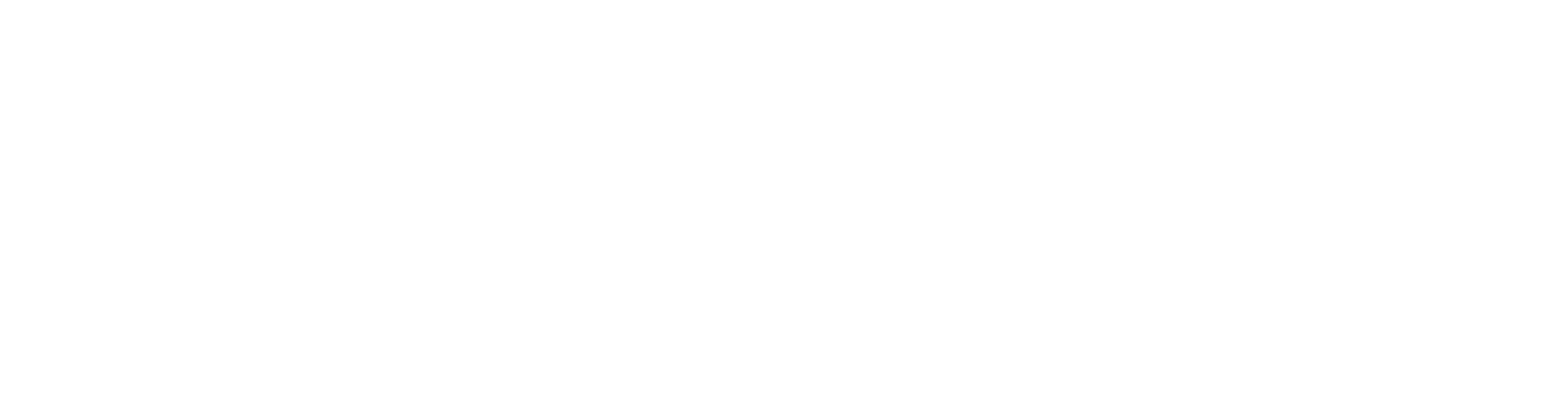 Storm Group logo - PNG - White-1